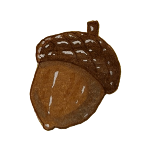 Plump brown acorn