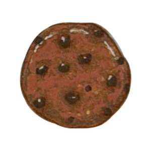 Chocolate chip cookie