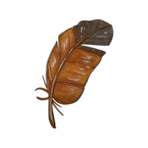 Single brown and grey feather