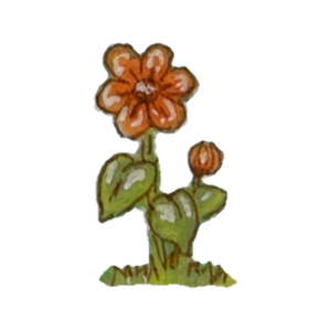 Orange flower with a bud on a leafy stem