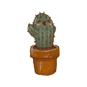 Small cactus in a terracotta pot