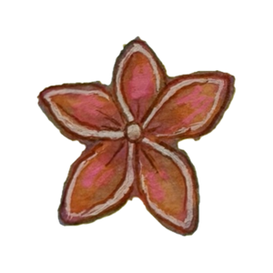 Pink plumeria blossom