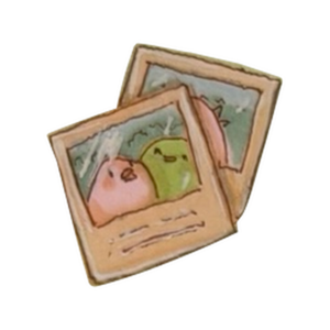 Two instant photos of finches