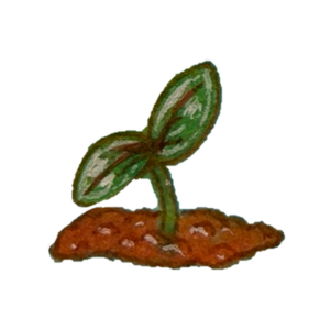 Green seedling pushing up out of the soil