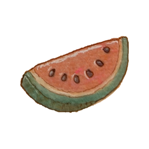 Slice of watermelon